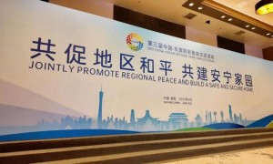 关键时刻,王毅会见东盟秘书长